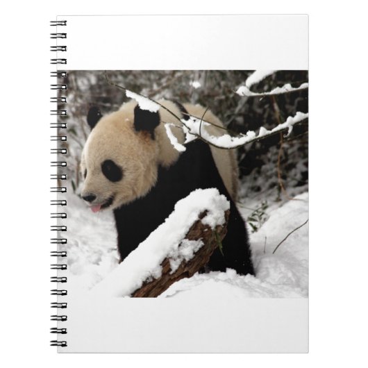 De panda draagt notitieboek (Voorkant)