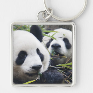 De panda draagt sleutelhanger