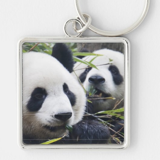 De panda draagt sleutelhanger (Voorkant)