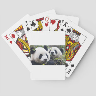 De panda draagt speelkaarten