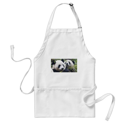 De panda draagt standaard schort (Voorkant)