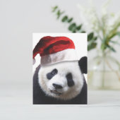 De Panda van Kerstmis draagt Feestdagenkaart (Staand voorkant)