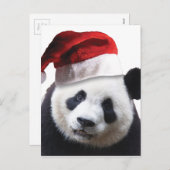De Panda van Kerstmis draagt Feestdagenkaart (Voorkant / Achterkant)