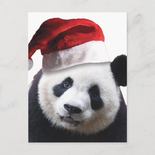 De Panda van Kerstmis draagt Feestdagenkaart (Voorkant)