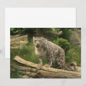 De panter (Voorkant / Achterkant)