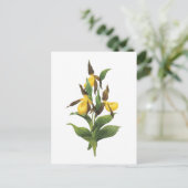 de pantoffel van de dame (Cypripedium SP.) door Briefkaart (Staand voorkant)
