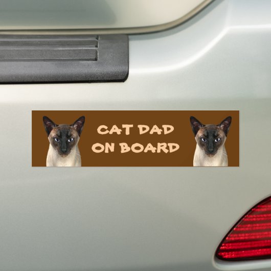 De Papa van de kat aan boord Bumpersticker (Op auto)