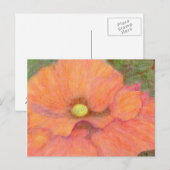 De papaver, Briefkaart (Voorkant / Achterkant)