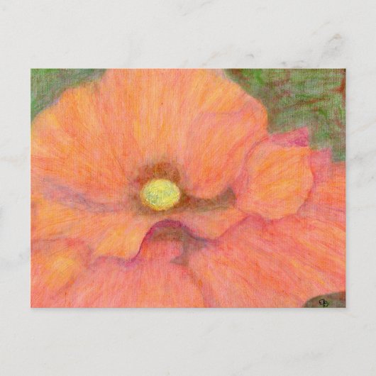 De papaver, Briefkaart (Voorkant)