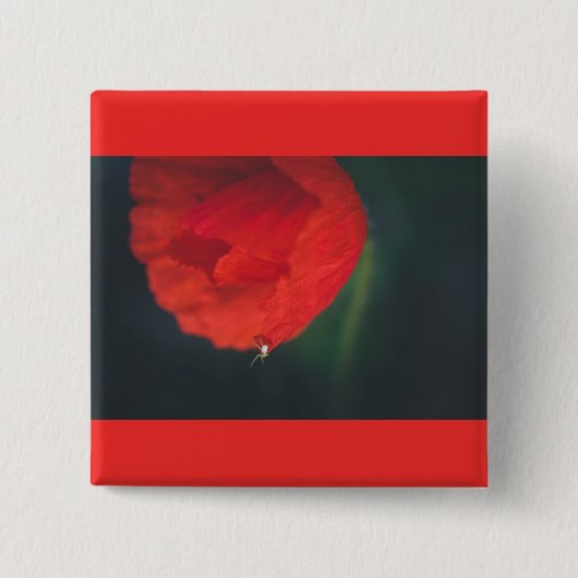 De papaver en de spin vierkante button 5,1 cm (Voorkant)