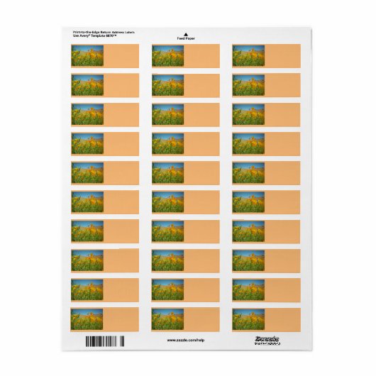 De papaver Etiketten van het Adres van de Terugkee (Full Sheet)