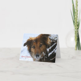 De papaver houdt van sneeuw feestdagen kaart