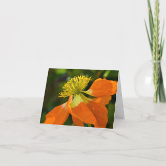 De Papaver Notecard van de zonnestraal Kaart