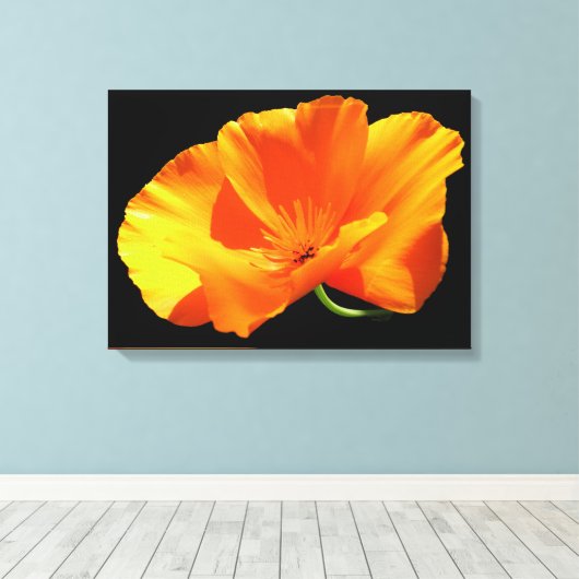 De Papaver van Californië Canvas Afdruk (Insitu (Houten vloer))