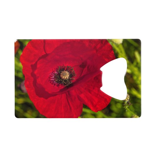 De papaverreeks #2 creditkaart flessenopener (Achterkant Horizontaal)