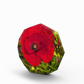 De papaverreeks #2 fotoblokken (Rechts)