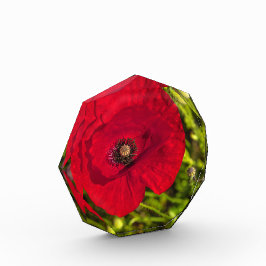 De papaverreeks #2 fotoblokken