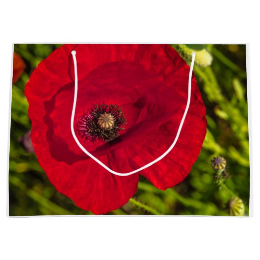 De papaverreeks #2 groot cadeauzakje (Voorkant)