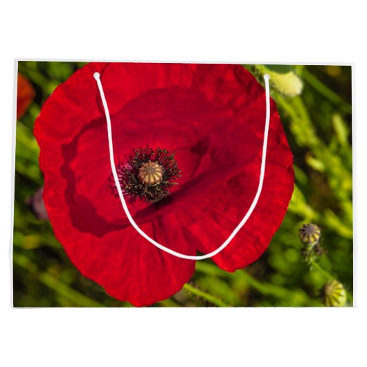 De papaverreeks #2 groot cadeauzakje (Achterkant)