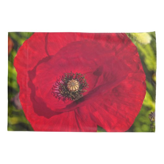 De papaverreeks #2 kussensloop (Achterkant)