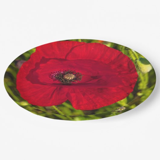De papaverreeks #2 papieren bordje (Gekanteld)