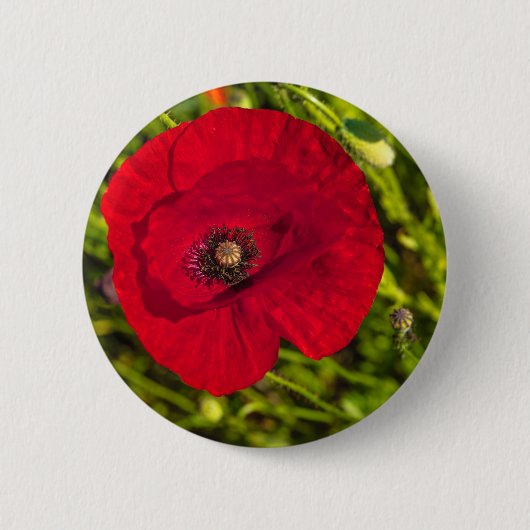 De papaverreeks #2 ronde button 5,7 cm (Voorkant)