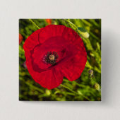 De papaverreeks #2 vierkante button 5,1 cm (Voorkant)