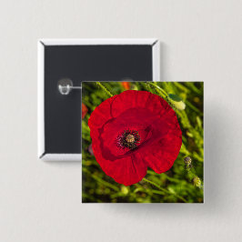 De papaverreeks #2 vierkante button 5,1 cm