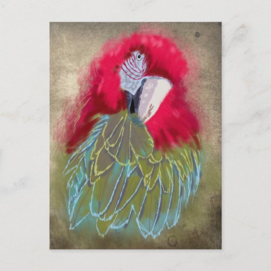 De papegaai - Briefkaart (Voorkant)