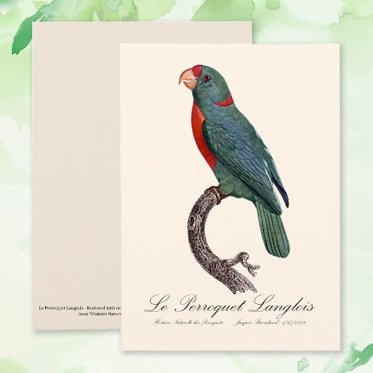 De papegaai Langlois van Jacques Barraband Bedankkaart