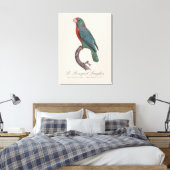 De papegaai Langlois van Jacques Barraband Canvas Afdruk (Insitu (Slaapkamer))