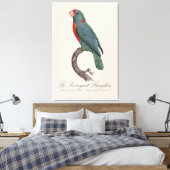 De papegaai Langlois van Jacques Barraband Canvas Afdruk (Insitu (Slaapkamer))