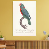 De papegaai Langlois van Jacques Barraband Canvas Afdruk (Insitu (Woonkamer))