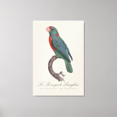 De papegaai Langlois van Jacques Barraband Canvas Afdruk (Voorkant)