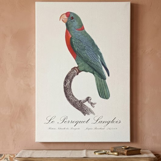 De papegaai Langlois van Jacques Barraband Canvas Afdruk