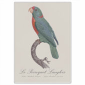 De papegaai Langlois van Jacques Barraband Sticker (Voorkant)