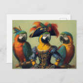 De papegaai piraat briefkaart (Voorkant / Achterkant)