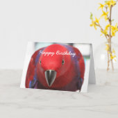 De papegaai van de kaartEclectus van de verjaardag Kaart (Gele Bloem)