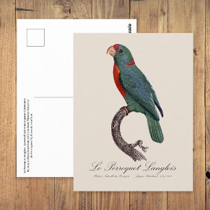 De papegaai van Langlois door Jacques Barraband Briefkaart