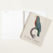 De papegaai van Langlois door Jacques Barraband Planner (Display)