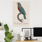 De papegaai van Langlois door Jacques Barraband Poster (Thuiskantoor)