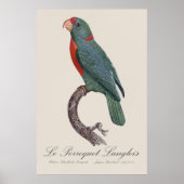 De papegaai van Langlois door Jacques Barraband Poster (Voorkant)