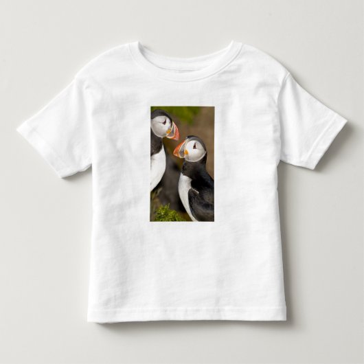 De papegaaiduiker kinder shirts (Voorkant)