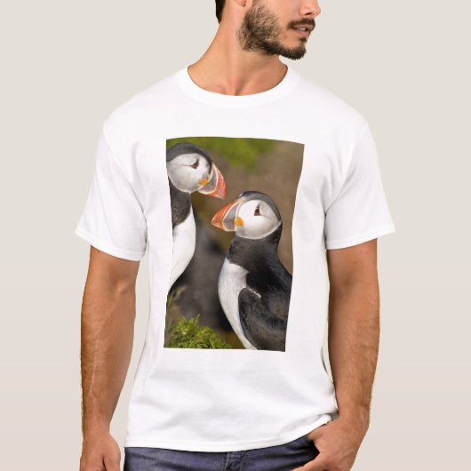 De papegaaiduiker t-shirt (Voorkant)