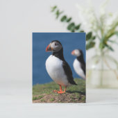 De Papegaaiduikers van het Eiland van Skomer Briefkaart (Staand voorkant)