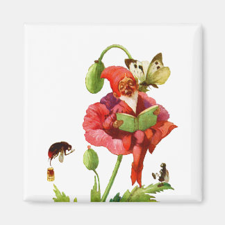 De papegaaie gnome magneet