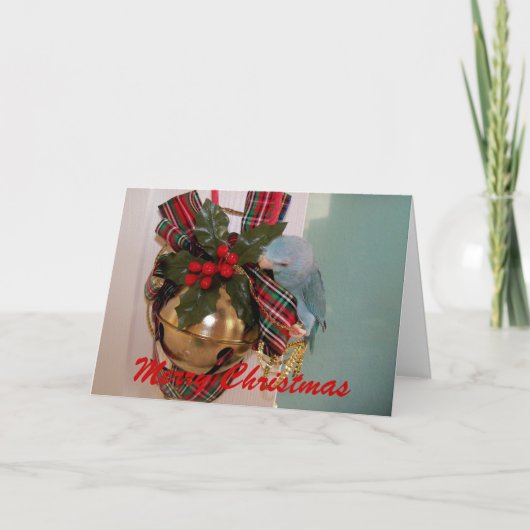 De papegaaien vrolijk kerstfeest Wenskaart Feestdagen Kaart (Voorkant)