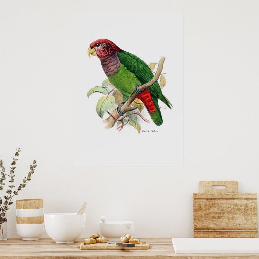 De papegaaien zijn twee van drie poster (Keuken)