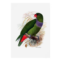 De papegaaireeks drie van drie