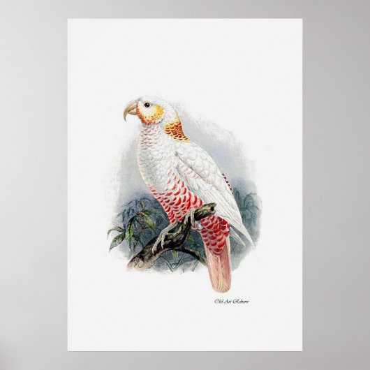 De papegaaiserie één van drie poster (Voorkant)